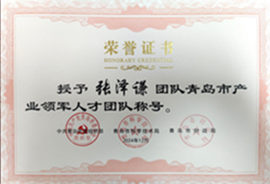 青島市領(lǐng)軍人才團隊
